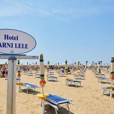 Lilium Maris Bibione