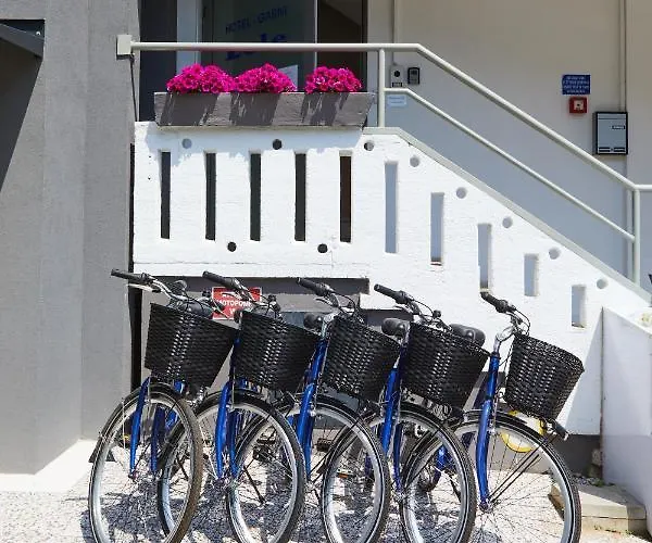 Lilium Maris Bibione