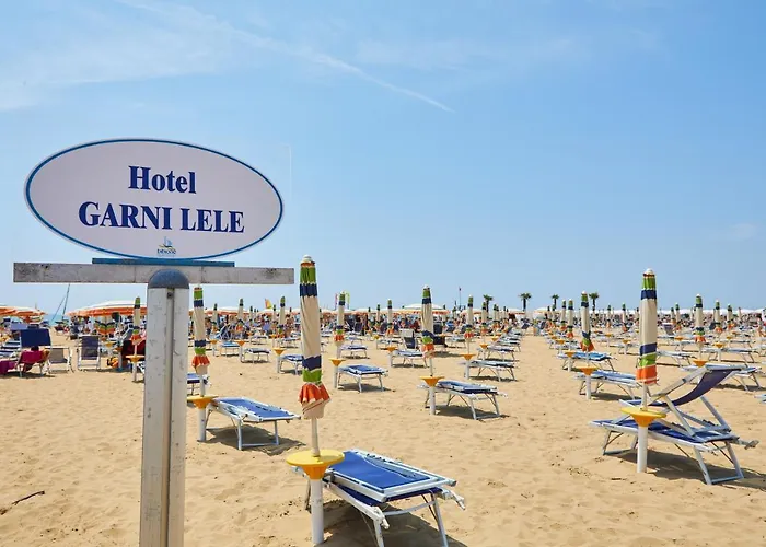 Lilium Maris Bibione